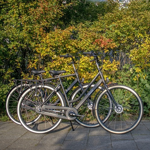 Stadsfietsen